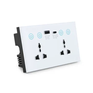 Tuya WiFi Smart Double Universal Socket USB-A Type-C